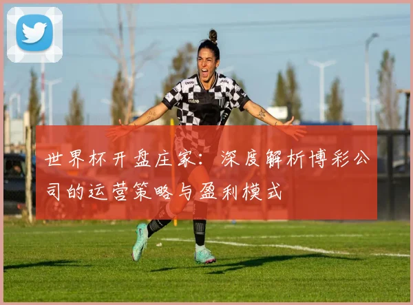 世界杯开盘庄家：深度解析博彩公司的运营策略与盈利模式