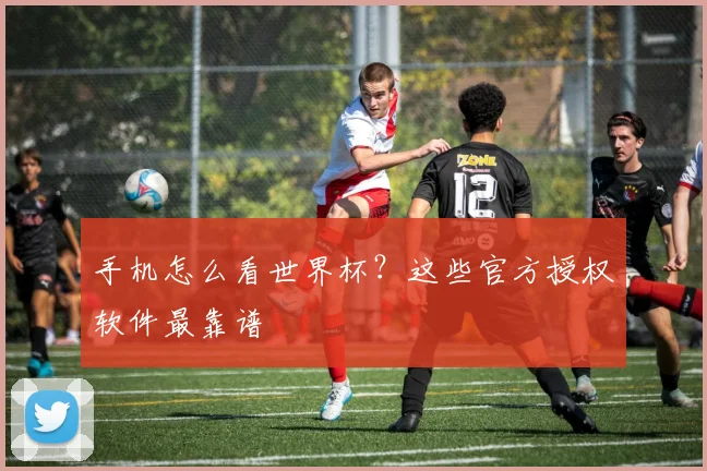 手机怎么看世界杯？这些官方授权软件最靠谱