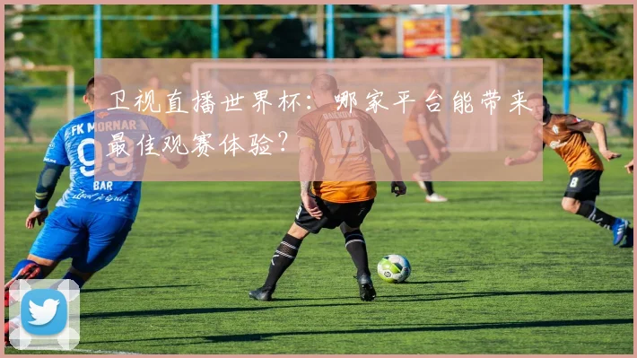 卫视直播世界杯：哪家平台能带来最佳观赛体验？