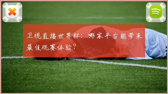 卫视直播世界杯：哪家平台能带来最佳观赛体验？