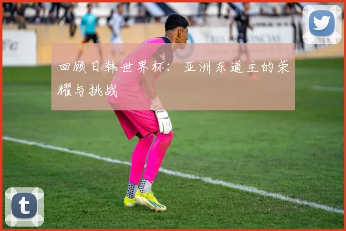 回顾日韩世界杯：亚洲东道主的荣耀与挑战