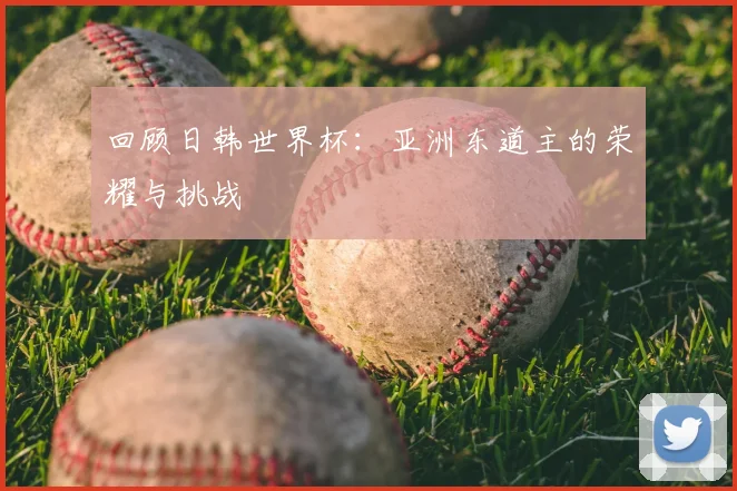 回顾日韩世界杯：亚洲东道主的荣耀与挑战