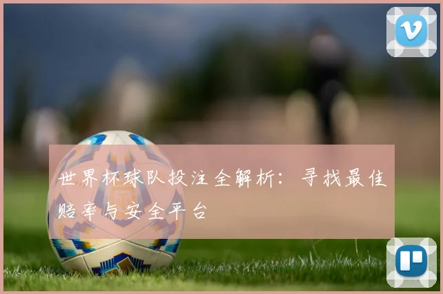 世界杯球队投注全解析：寻找最佳赔率与安全平台